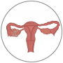 f-pcos-2 f-pcos-2