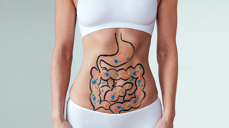 gut-health gut-health