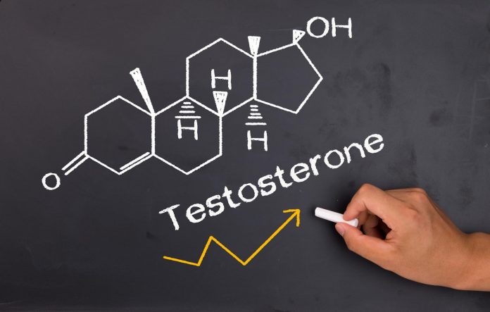 testosteron-696×443