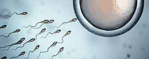 sperma sperma